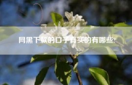 网黑下款的口子真实的有哪些?