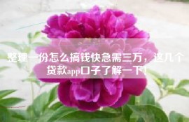 整理一份怎么搞钱快急需三万，这几个贷款app口子了解一下！