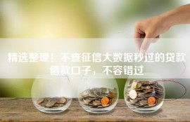 精选整理！不查征信大数据秒过的贷款借款口子，不容错过