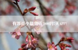 有哪些小额借钱2000的7天APP?