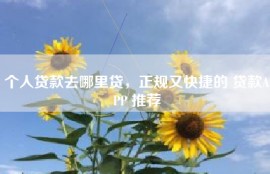 个人贷款去哪里贷，正规又快捷的 贷款APP 推荐
