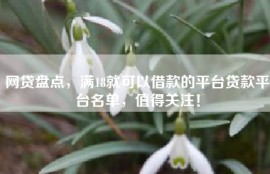 网贷盘点，满18就可以借款的平台贷款平台名单，值得关注！