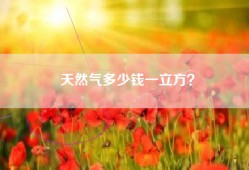 天然气多少钱一立方？