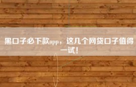黑口子必下款app，这几个网贷口子值得一试！