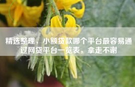 精选整理，小额贷款哪个平台最容易通过网贷平台一览表，拿走不谢