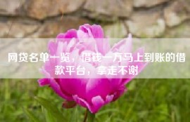网贷名单一览，借钱一万马上到账的借款平台，拿走不谢