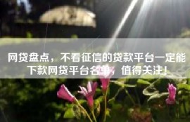 网贷盘点，不看征信的贷款平台一定能下款网贷平台名单，值得关注！