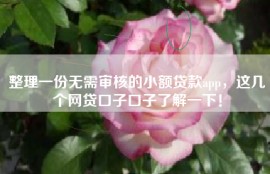 整理一份无需审核的小额贷款app，这几个网贷口子口子了解一下！