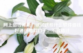 网上借钱被拒，试试这些什么软件借钱好通过借款口子，不容错过