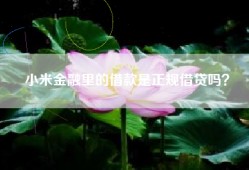 小米金融里的借款是正规借贷吗？