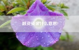 融资资金什么意思?