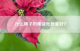 什么牌子的集成灶质量好？