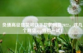 负债高征信花可以下款的网贷2022，这几个网贷app值得一试！