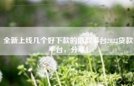 全新上线几个好下款的借款平台2022贷款平台，分享！