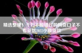 精选整理！千万不能错过的网贷口子不看征信2022小额贷款