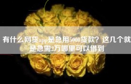 有什么网贷app是急用5000货款？这几个就是急需2万哪里可以借到