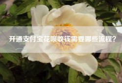 开通支付宝花呗收钱需要哪些流程？