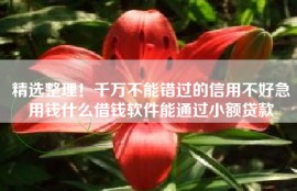 精选整理！千万不能错过的信用不好急用钱什么借钱软件能通过小额贷款