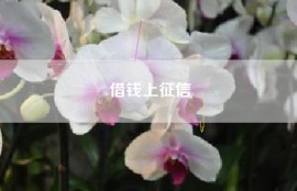 借钱上征信