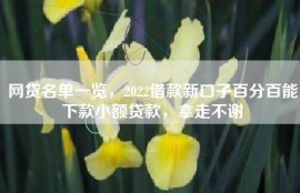 网贷名单一览，2022借款新口子百分百能下款小额贷款，拿走不谢
