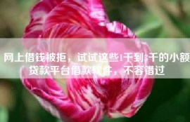 网上借钱被拒，试试这些1千到3千的小额贷款平台借款软件，不容错过