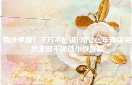 精选整理！千万不能错过的2022年网贷突然全部不通过小额贷款