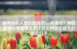 哪有纯私人放款的贷款app有哪些？精选整理分享负债太多了什么网贷还能下款借款口子