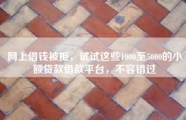 网上借钱被拒，试试这些1000至5000的小额贷款借款平台，不容错过