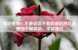 精选整理！不查征信不看负债的网贷有哪些小额贷款，不容错过