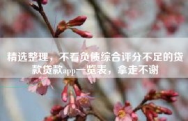 精选整理，不看负债综合评分不足的贷款贷款app一览表，拿走不谢