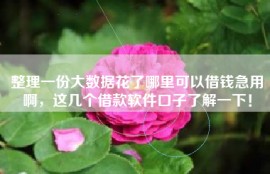 整理一份大数据花了哪里可以借钱急用啊，这几个借款软件口子了解一下！