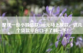 整理一份小额借款1000元马上放款，这几个贷款平台口子了解一下！