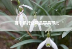 哪个银行贷款最容易审批