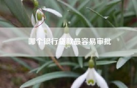 哪个银行贷款最容易审批