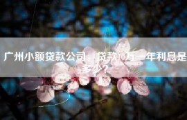 广州小额贷款公司，贷款10万一年利息是多少？