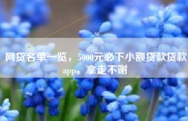 网贷名单一览，5000元必下小额贷款贷款app，拿走不谢