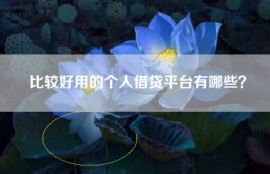 比较好用的个人借贷平台有哪些？