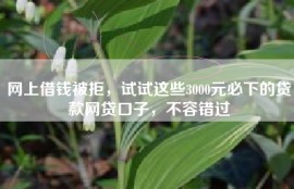网上借钱被拒，试试这些3000元必下的贷款网贷口子，不容错过