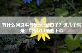 有什么网贷平台是2022新口子？这几个就是2022贷款口子必下款