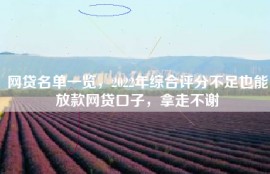 网贷名单一览，2022年综合评分不足也能放款网贷口子，拿走不谢