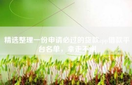 精选整理一份申请必过的贷款app借款平台名单，拿走不谢