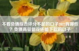 不看负债综合评分不足的口子2022有哪些？负债高征信花还能下款的口子