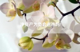 净资产为负会退市吗?