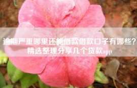 逾期严重哪里还能借款借款口子有哪些？精选整理分享几个贷款app
