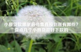 小额贷款哪里最可靠直接到账有哪些？盘点几个小额贷款好下款的