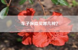 车子保险买哪几种？