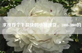 求推荐个下款快的小额速贷，1000-3000的
