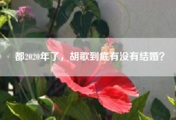 都2020年了，胡歌到底有没有结婚？