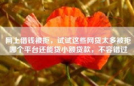 网上借钱被拒，试试这些网贷太多被拒哪个平台还能贷小额贷款，不容错过