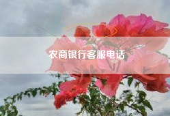 农商银行客服电话